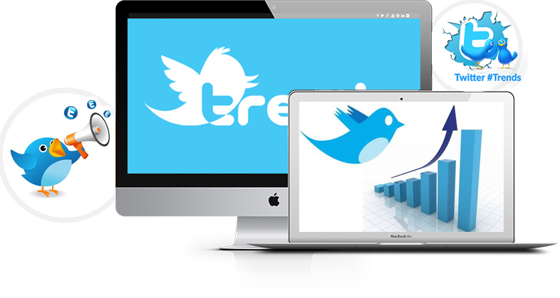 Twitter Branding Services Company & Agency India